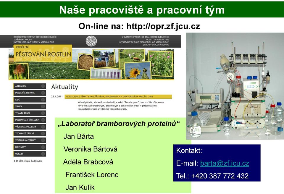 cz Laboratoř bramborových proteinů Jan Bárta Veronika