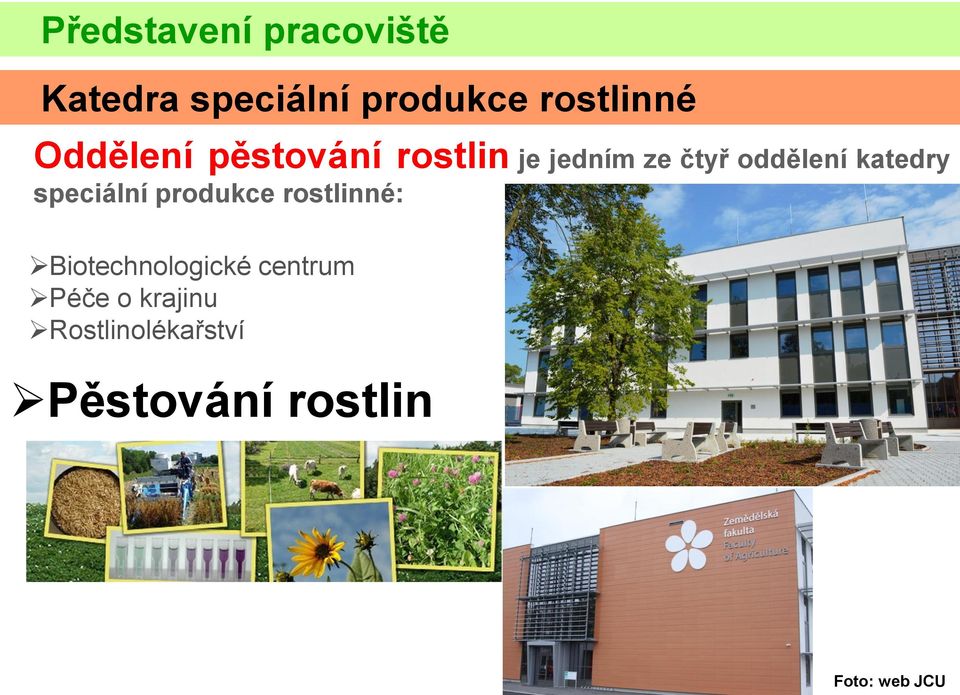 katedry speciální produkce rostlinné: Biotechnologické