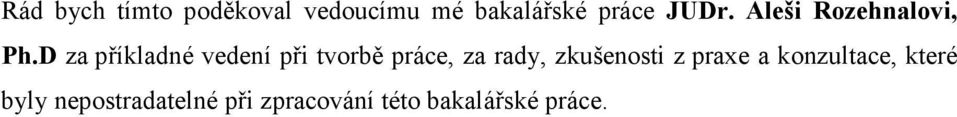 D za příkladné vedení při tvorbě práce, za rady,