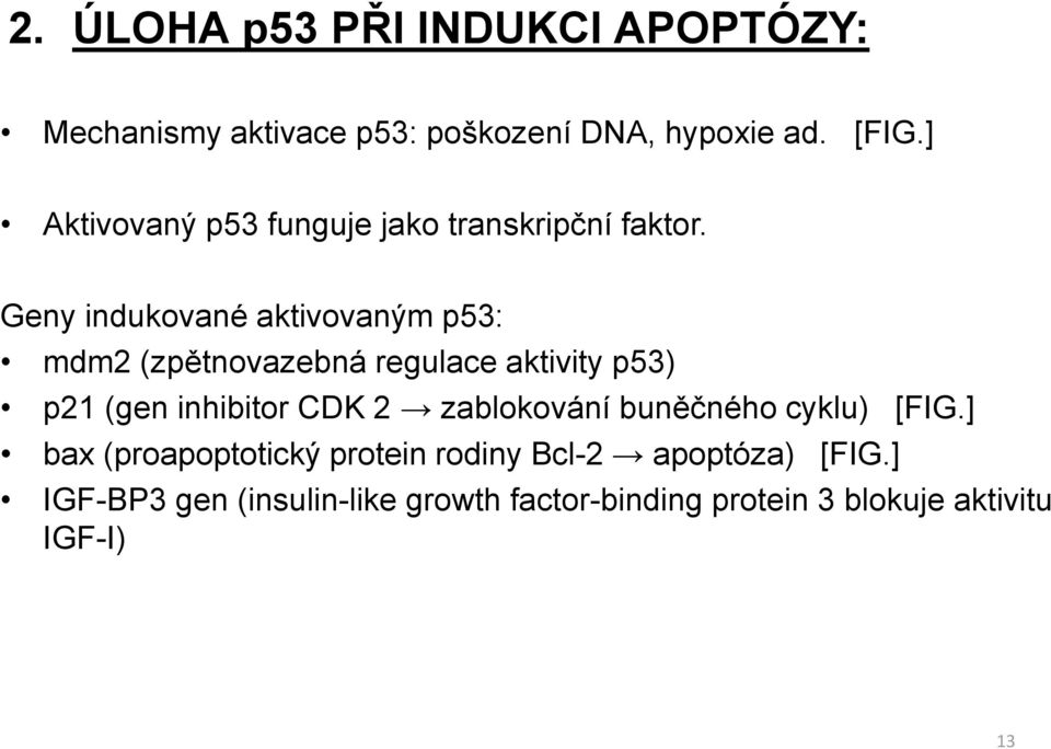 Geny indukované aktivovaným p53: mdm2 (zpětnovazebná regulace aktivity p53) p21 (gen inhibitor CDK 2