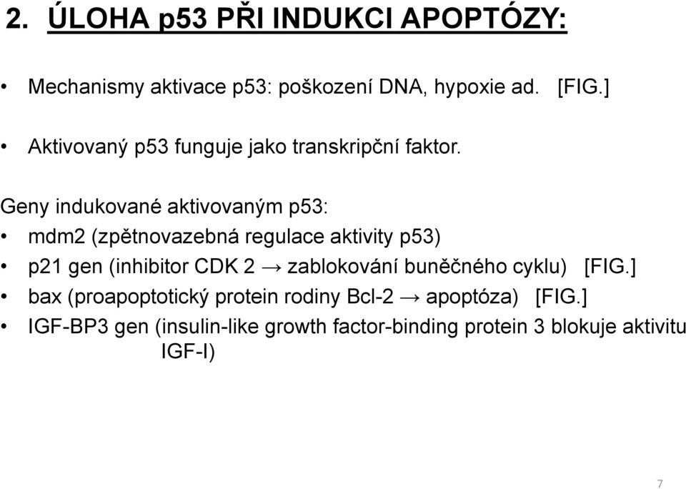 Geny indukované aktivovaným p53: mdm2 (zpětnovazebná regulace aktivity p53) p21 gen (inhibitor CDK 2