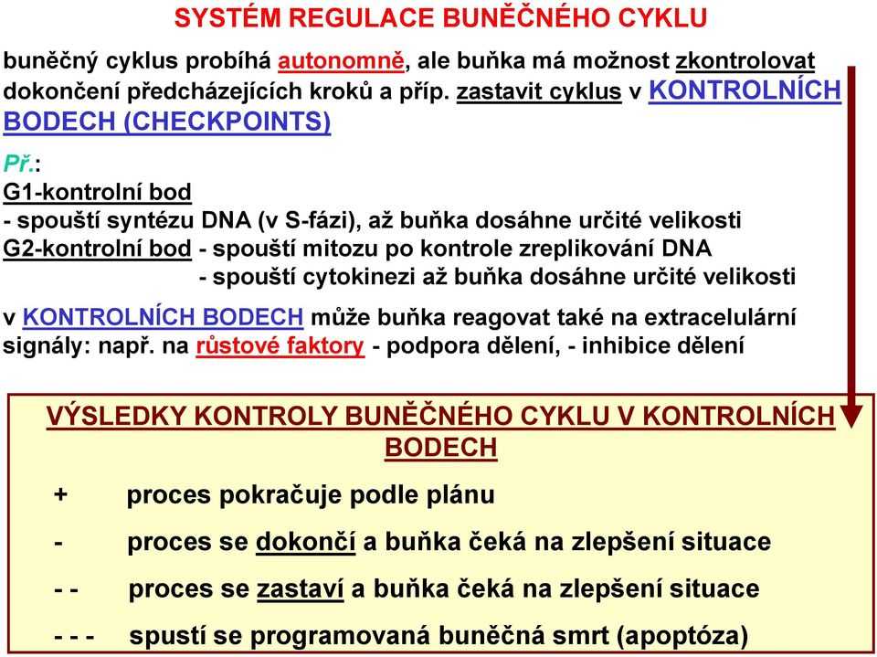 velikosti v KONTROLNÍCH BODECH může buňka reagovat také na extracelulární signály: např.