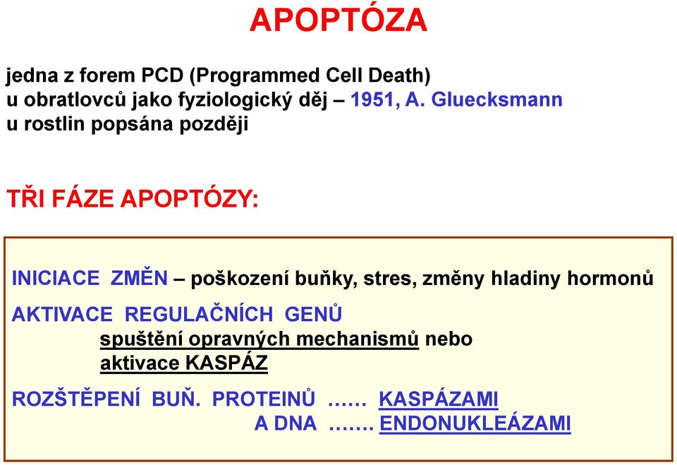 Gluecksmann u rostlin popsána později TŘI FÁZE APOPTÓZY: INICIACE ZMĚN poškození