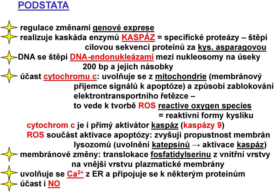 zablokování elektrontransportního řetězce to vede k tvorbě ROS reactive oxygen species = reaktivní formy kyslíku cytochrom c je i přímý aktivátor kaspáz (kaspázy 9) ROS součást aktivace