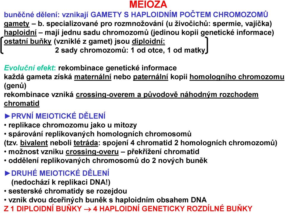 chromozomů: 1 od otce, 1 od matky Evoluční efekt: rekombinace genetické informace každá gameta získá maternální nebo paternální kopii homologního chromozomu (genů) rekombinace vzniká crossing-overem