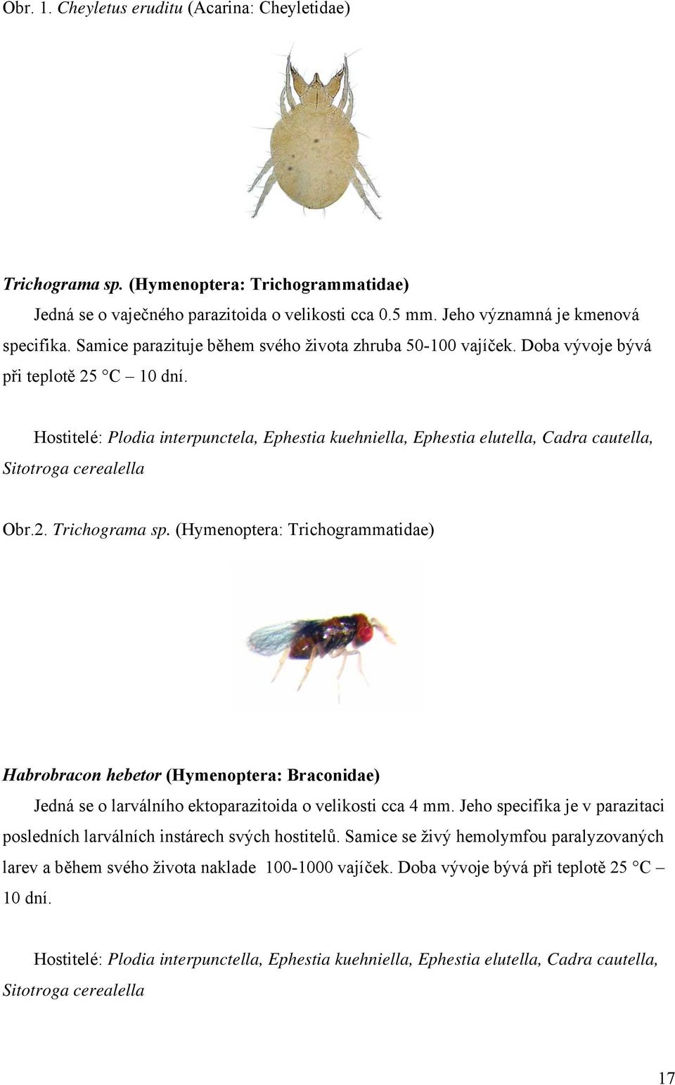 Hostitelé: Plodia interpunctela, Ephestia kuehniella, Ephestia elutella, Cadra cautella, Sitotroga cerealella Obr.2. Trichograma sp.
