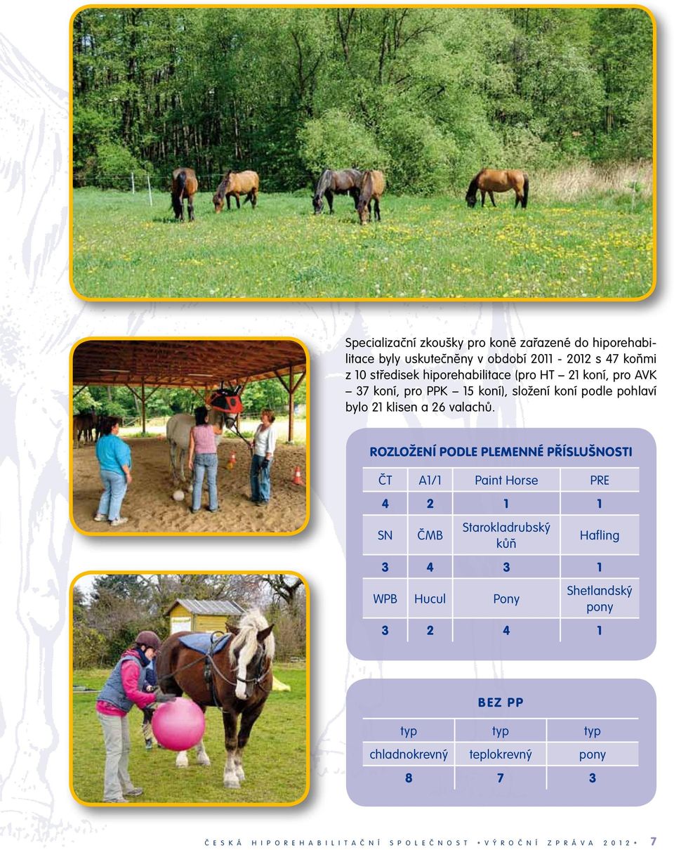Rozložení podle plemenné příslušnosti ČT A1/1 Paint Horse PRE 4 2 1 1 SN ČMB Starokladrubský kůň Hafling 3 4 3 1 WPB Hucul Pony Shetlandský
