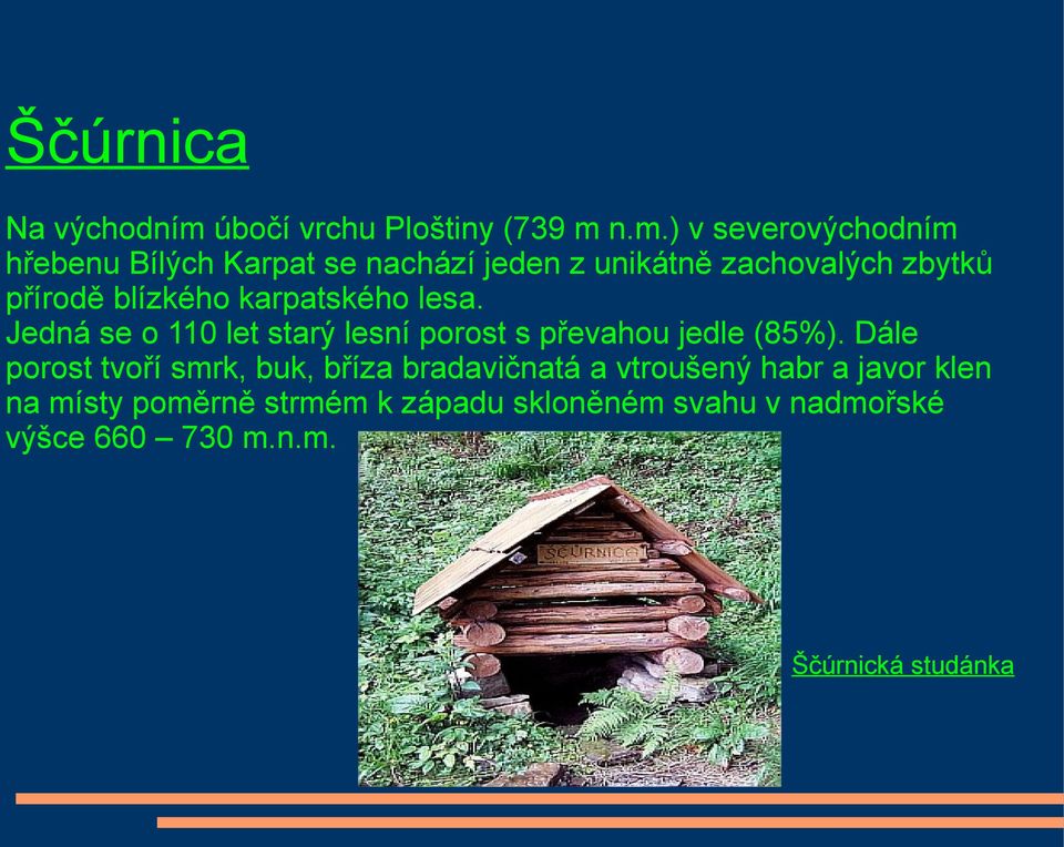 n.m.) v severovýchodním hřebenu Bílých Karpat se nachází jeden z unikátně zachovalých zbytků přírodě