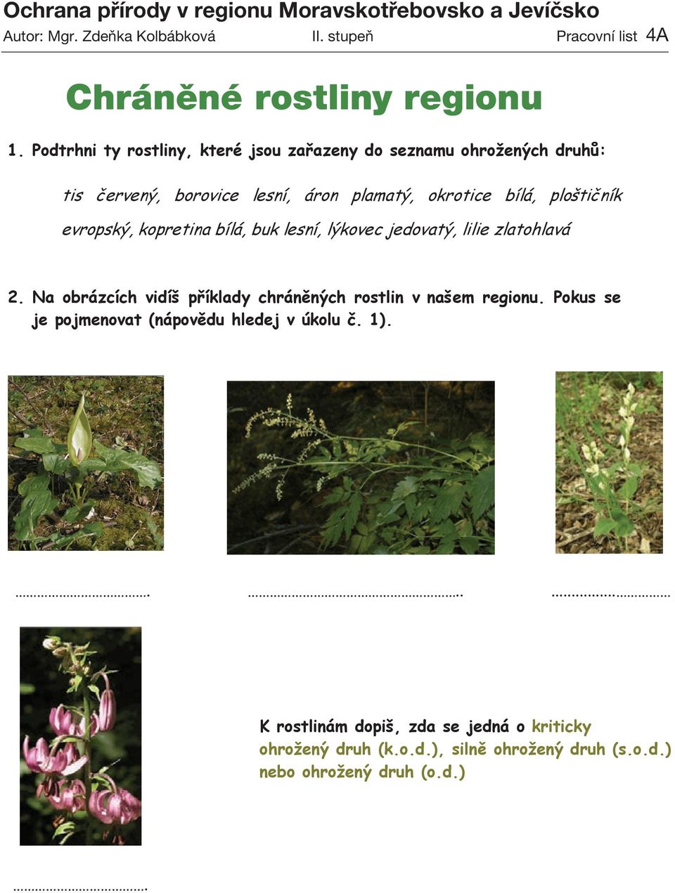 Podtrhni ty rostliny, které jsou zařazeny do seznamu ohrožených druhů: tis červený, borovice lesní, áron plamatý, okrotice bílá, ploštičník evropský, kopretina bílá, buk