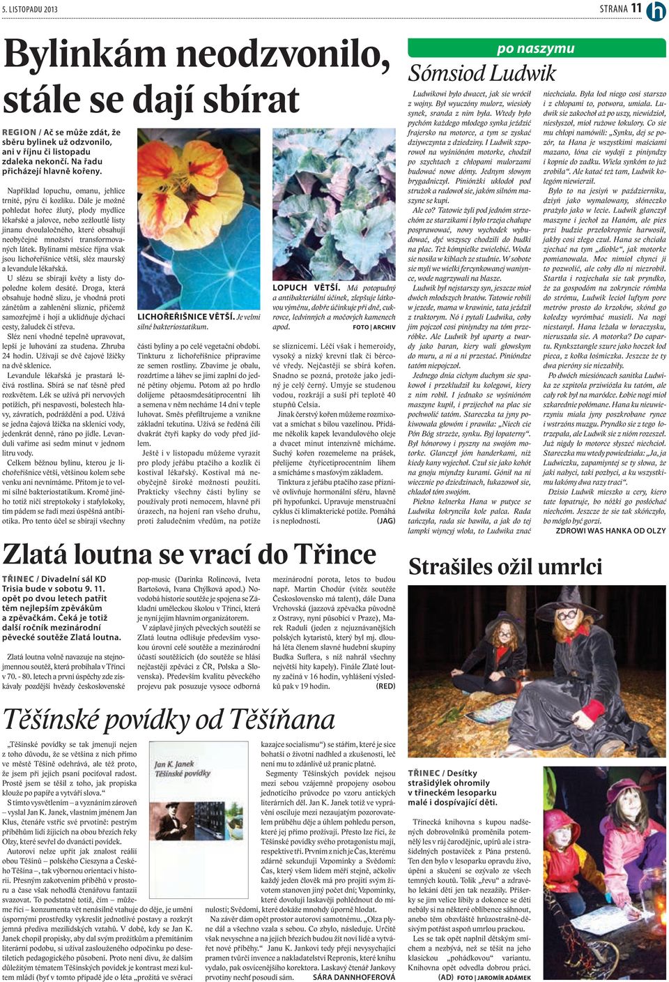 Dále je možné pohledat hořec žlutý, plody mydlice lékařské a jalovce, nebo zežloutlé listy jinanu dvoulaločného, které obsahují neobyčejné množství transformovaných látek.