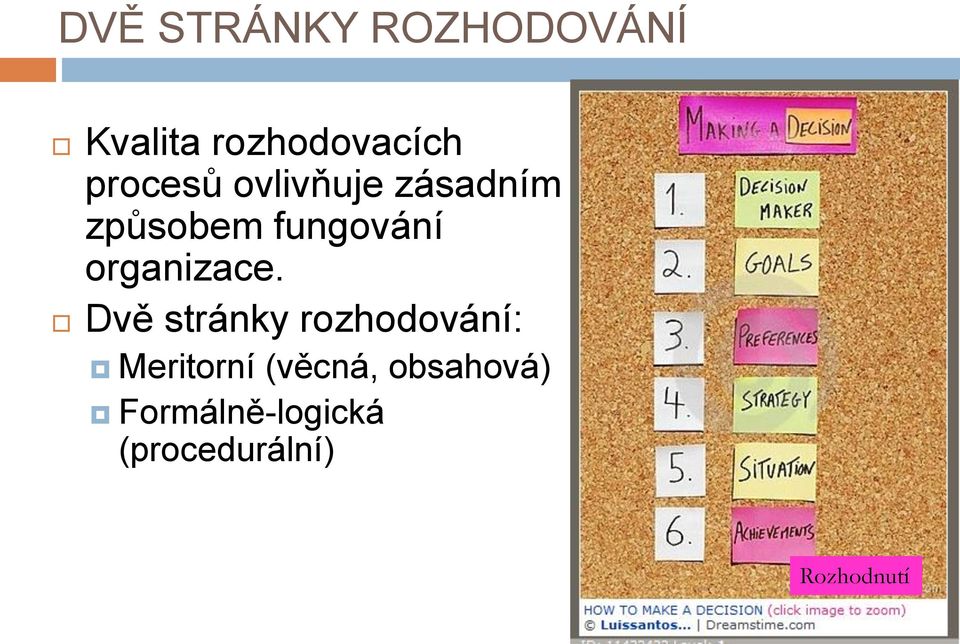 organizace.