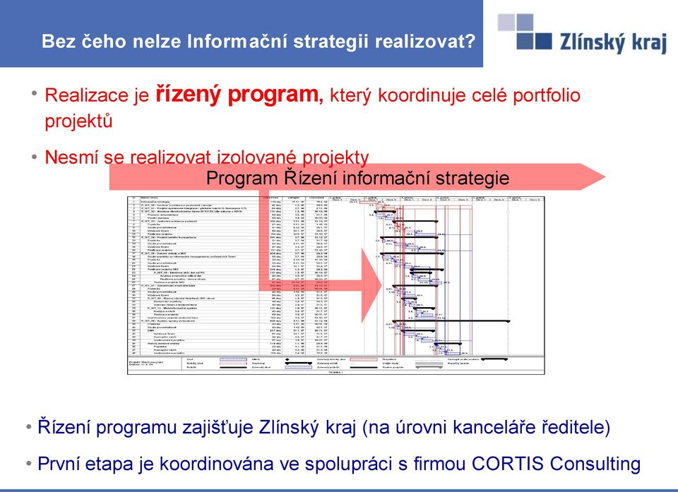 realizovat izolované projekty Program Řízení informační strategie Řízení programu