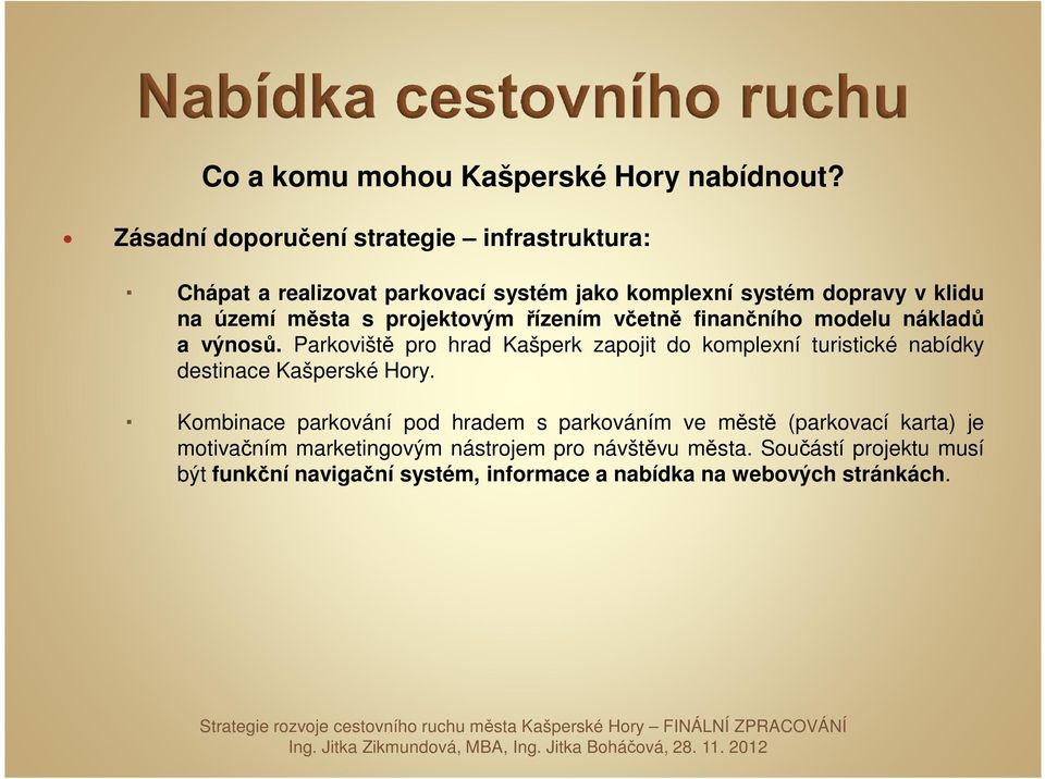 projektovým řízením včetně finančního modelu nákladů a výnosů.