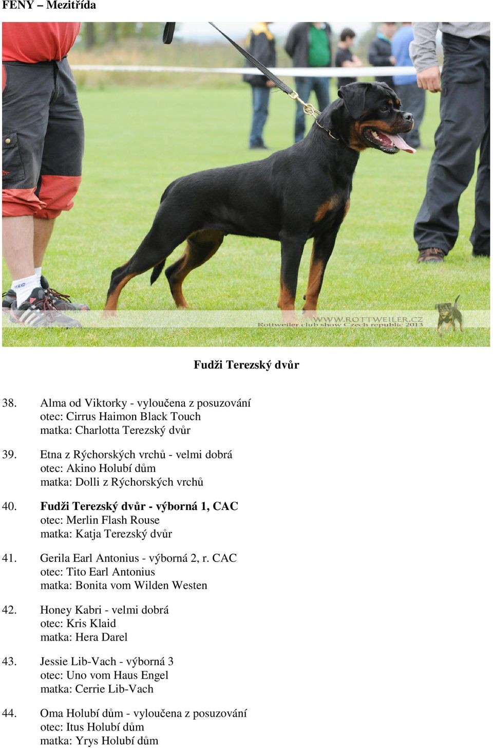 Fudži Terezský dvůr - výborná 1, CAC otec: Merlin Flash Rouse matka: Katja Terezský dvůr 41. Gerila Earl Antonius - výborná 2, r.