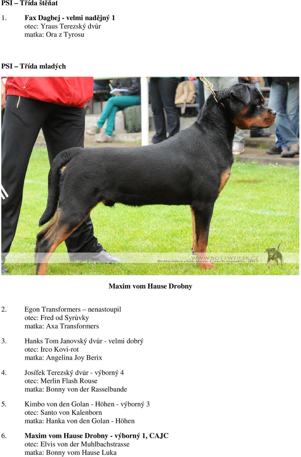 Hanks Tom Janovský dvůr - velmi dobrý otec: Irco Kovi-rot matka: Angelina Joy Berix 4.