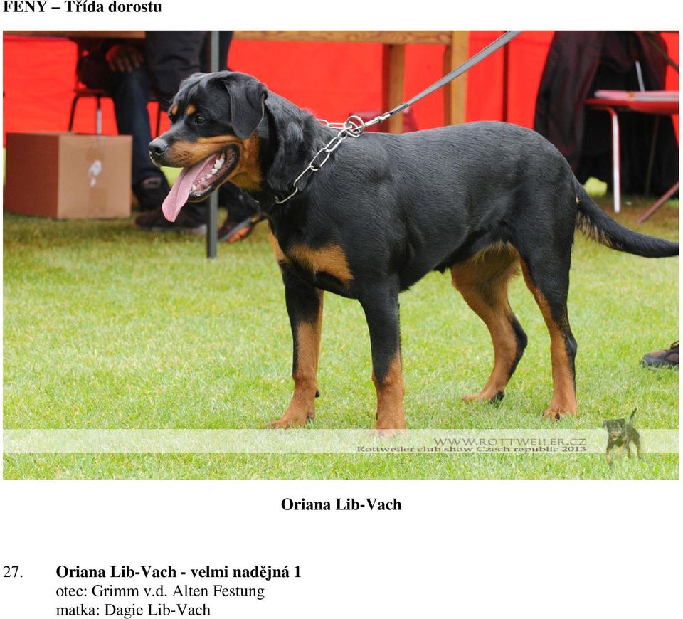 Oriana Lib-Vach - velmi nadějná