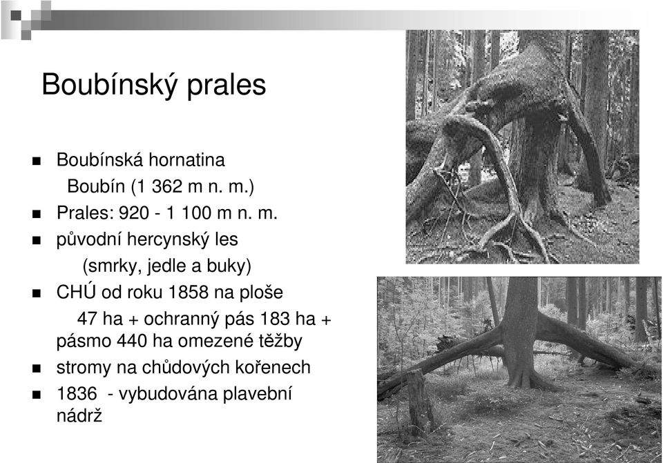 a buky) CHÚ od roku 1858 na ploše 47 ha + ochranný pás 183 ha +