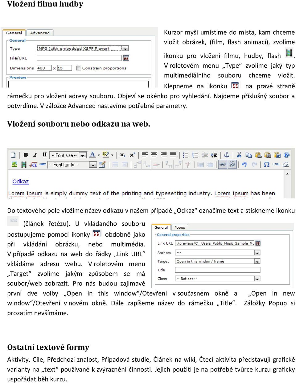 Najdeme příslušný soubor a potvrdíme. V záložce Advanced nastavíme potřebné parametry. Vložení souboru nebo odkazu na web.