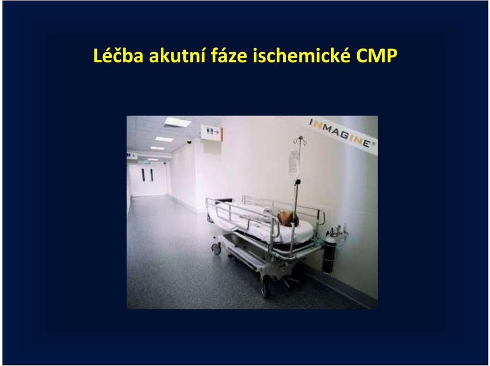 fáze