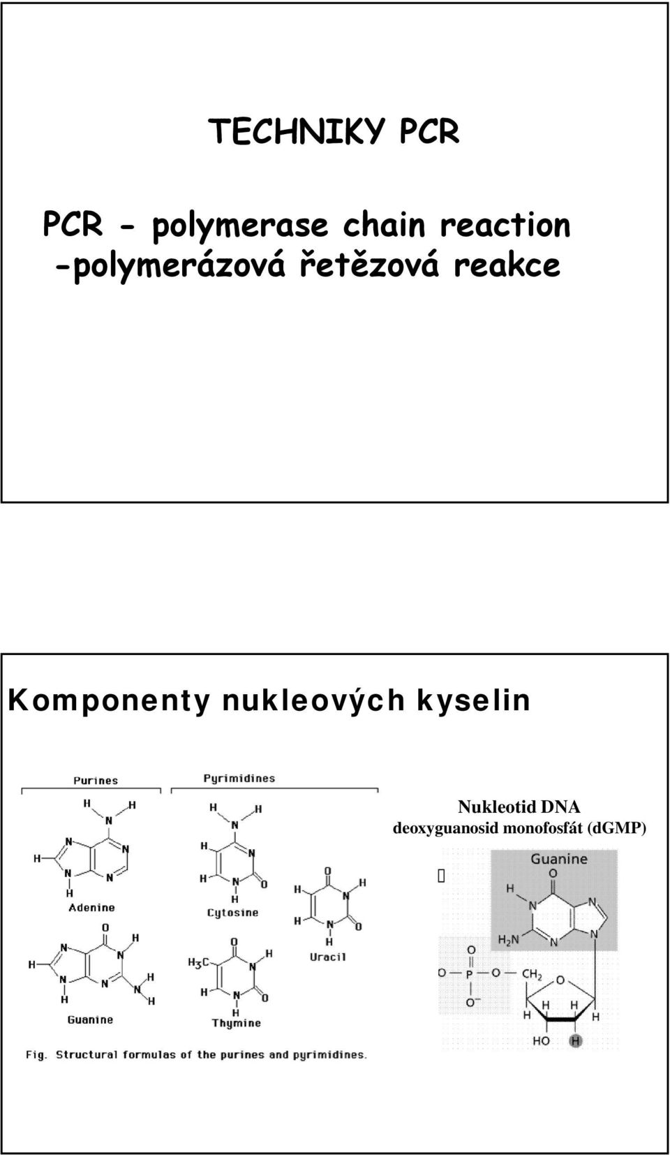 reakce Komponenty nukleových kyselin