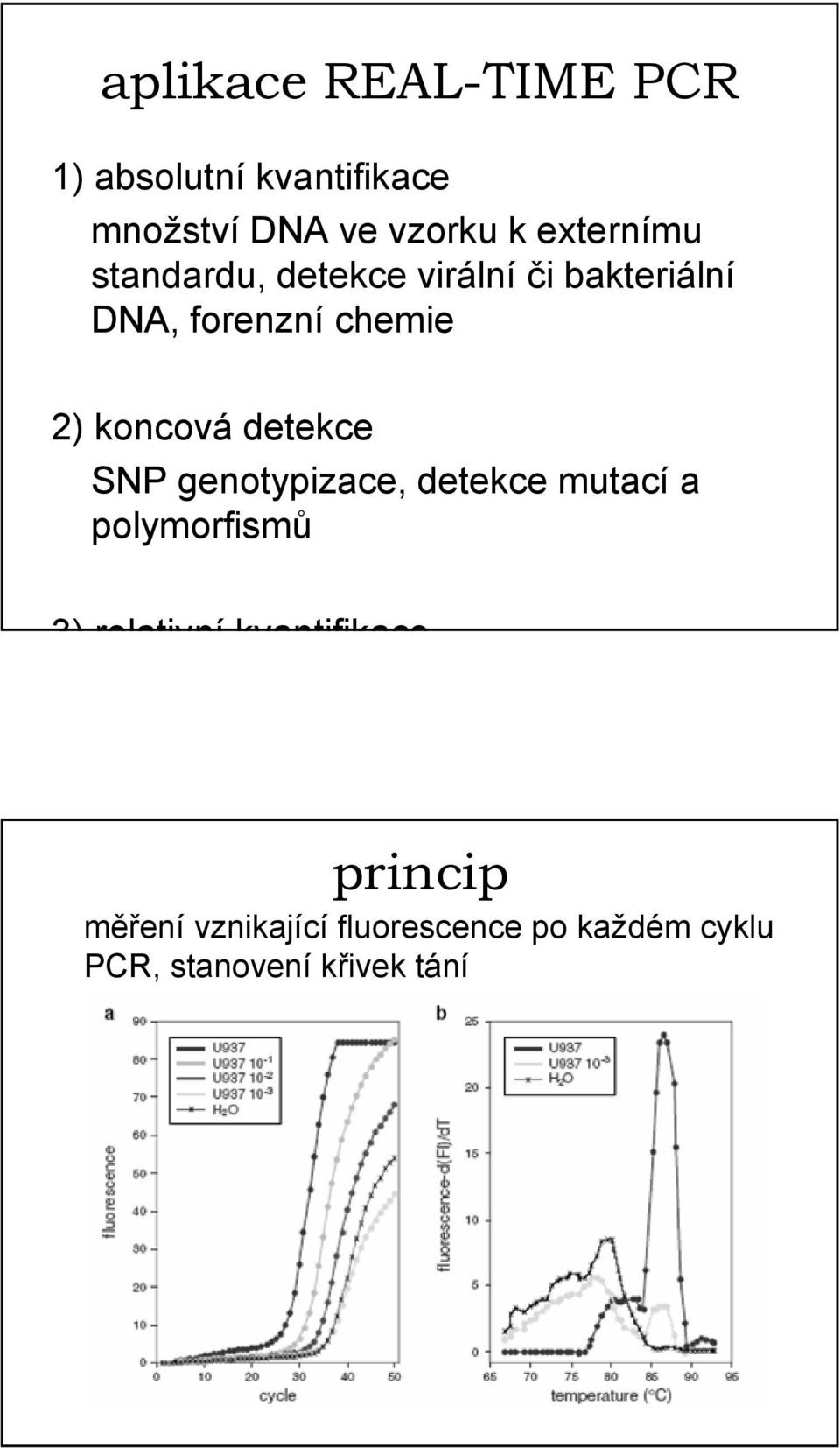 koncová detekce SNP genotypizace, detekce mutací a polymorfismů 3) relativní