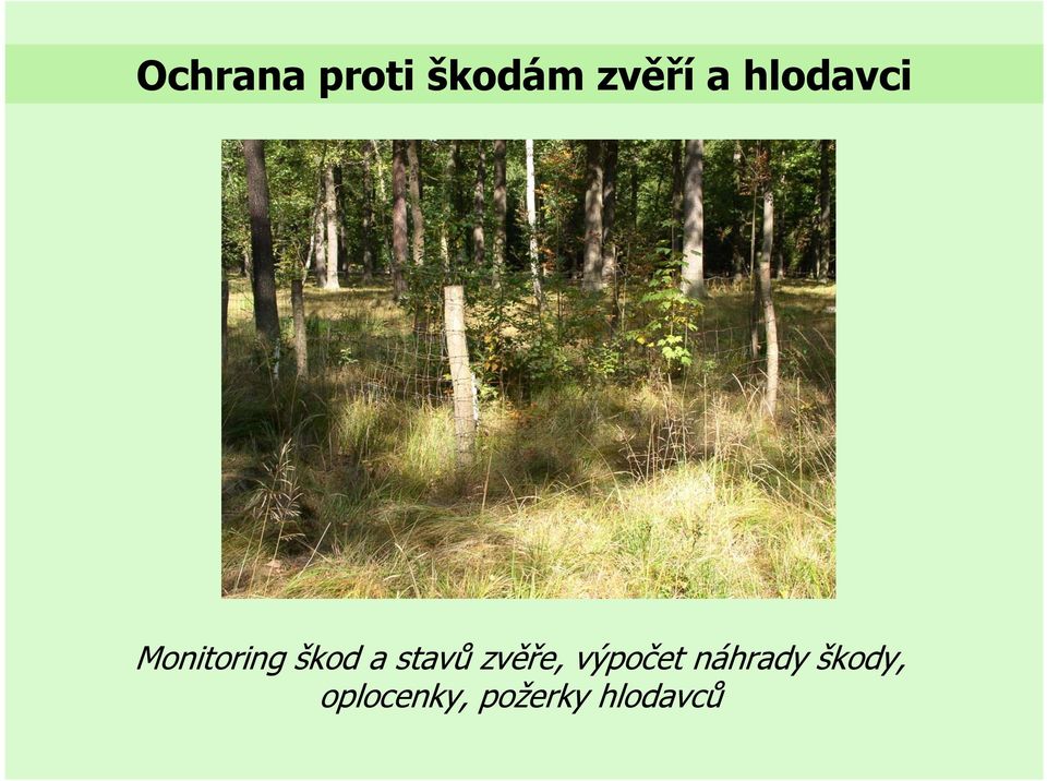 stavů zvěře, výpočet náhrady