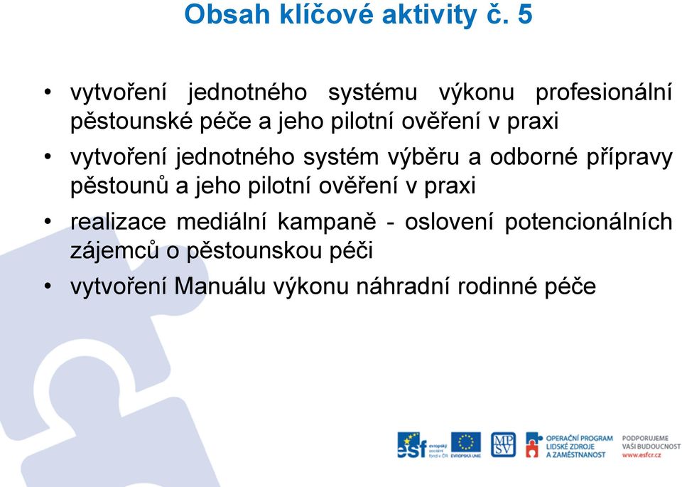 ověření v praxi vytvoření jednotného systém výběru a odborné přípravy pěstounů a jeho