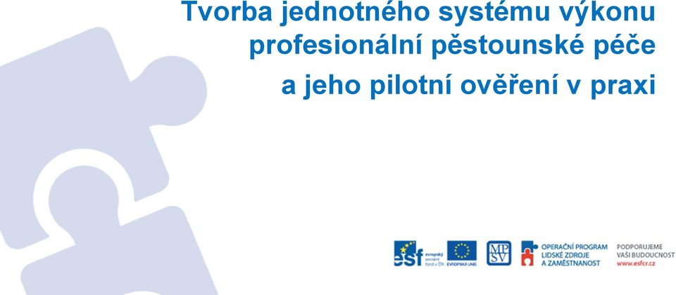 profesionální