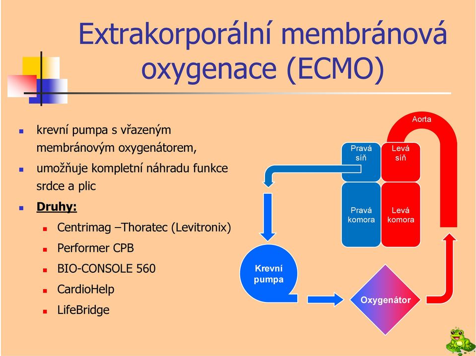 Pravá síň Levá síň Aorta Druhy: Centrimag Thoratec (Levitronix) Performer