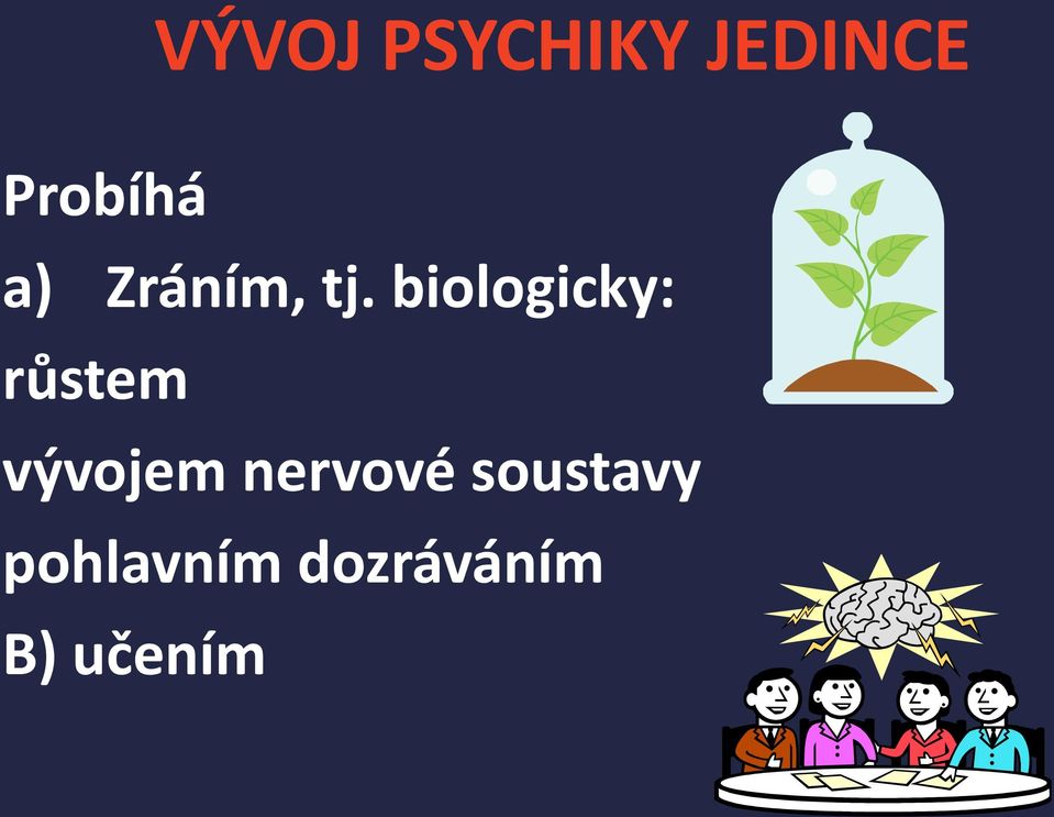 biologicky: růstem vývojem