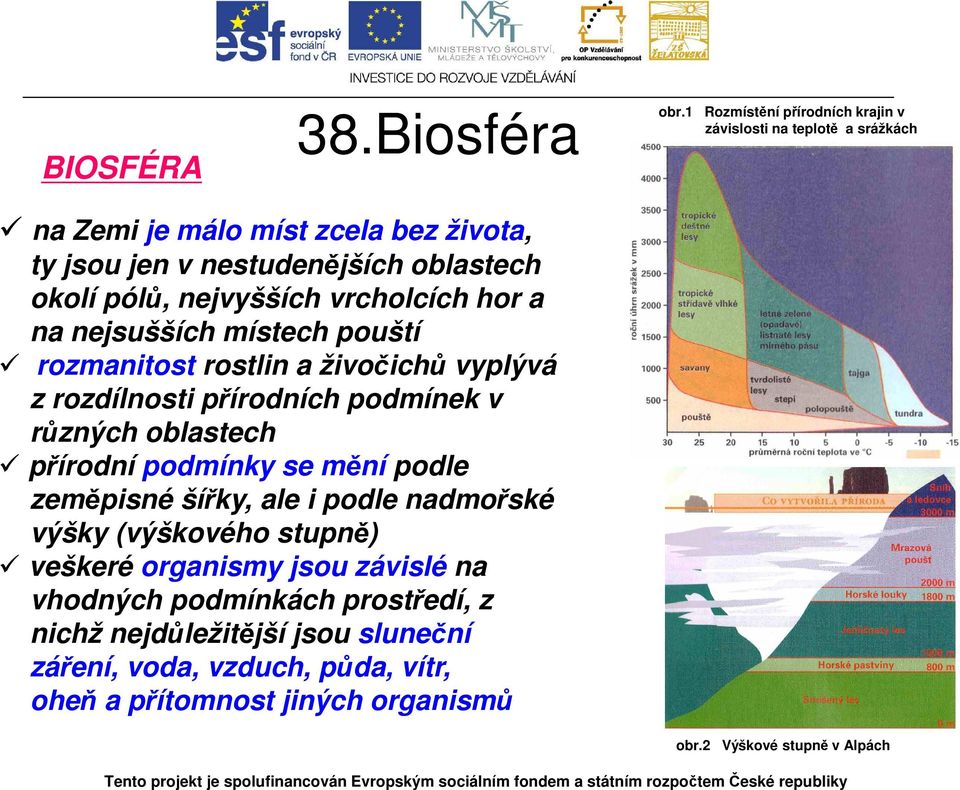 nejvyšších vrcholcích hor a na nejsušších místech pouští rozmanitost rostlin a živočichů vyplývá z rozdílnosti přírodních podmínek v různých oblastech