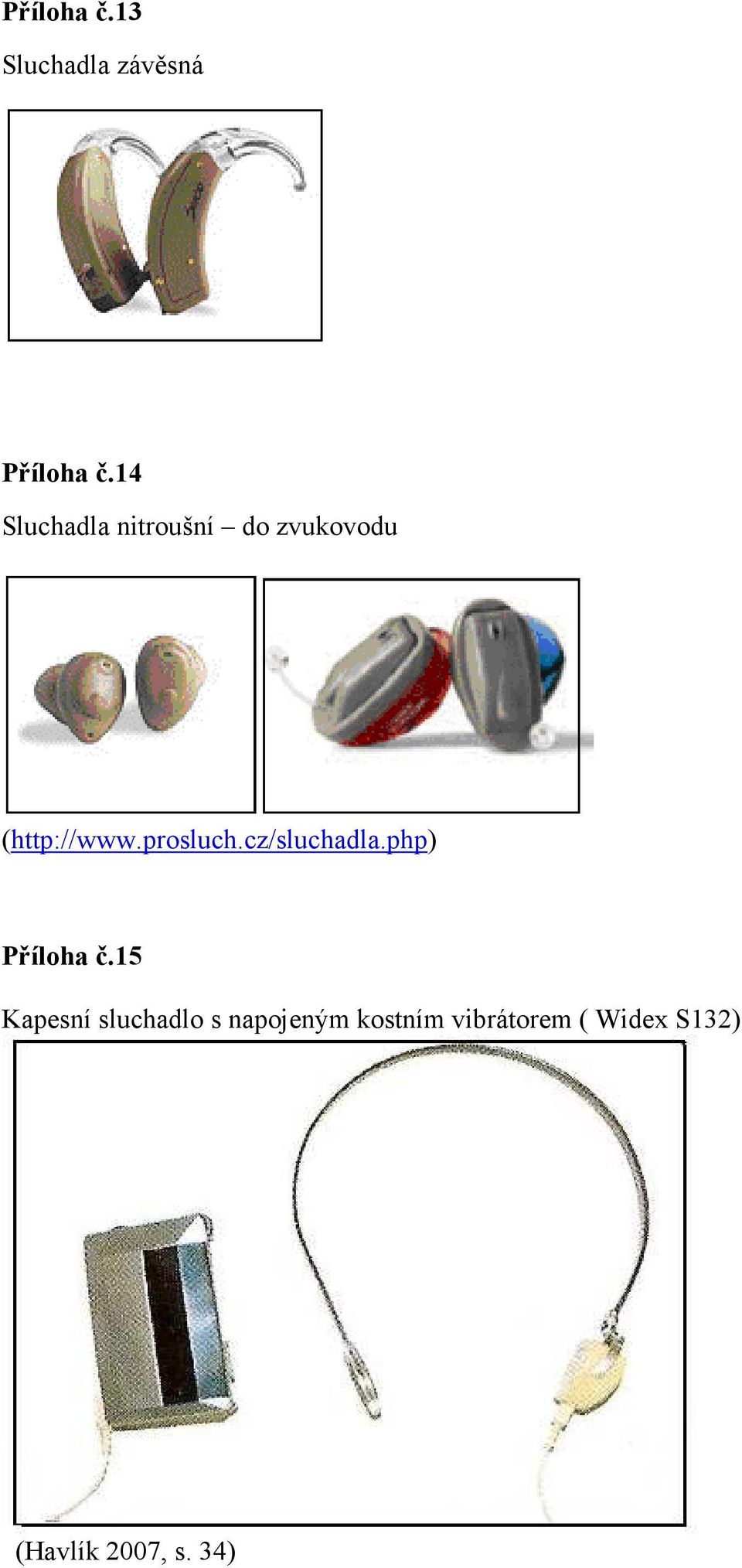 prosluch.cz/sluchadla.php) Příloha č.