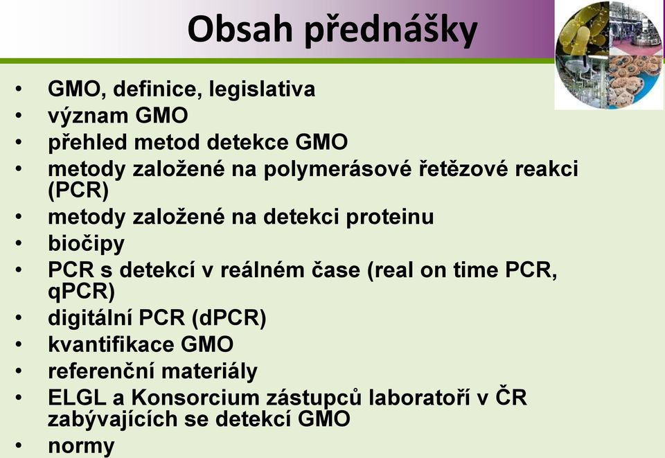 PCR s detekcí v reálném čase (real on time PCR, qpcr) digitální PCR (dpcr) kvantifikace GMO