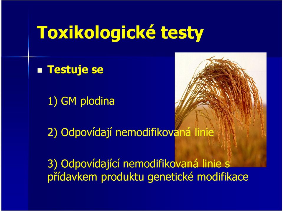 linie 3) Odpovídající nemodifikovaná