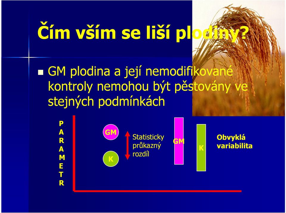 nemohou být pěstovány ve stejných podmínkách P