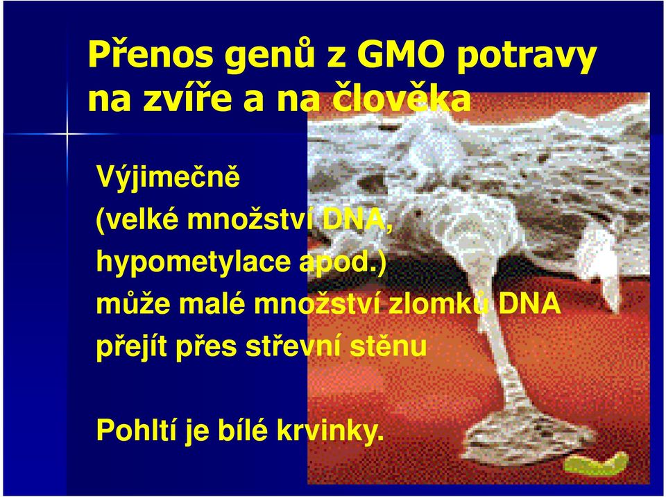 hypometylace apod.