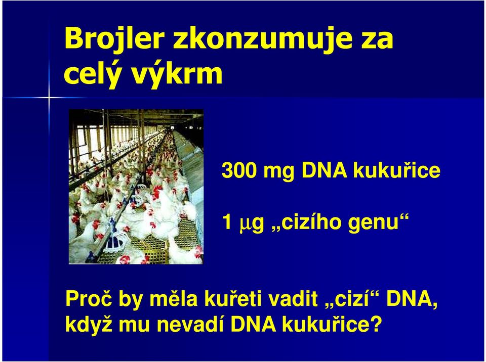 genu Proč by měla kuřeti vadit