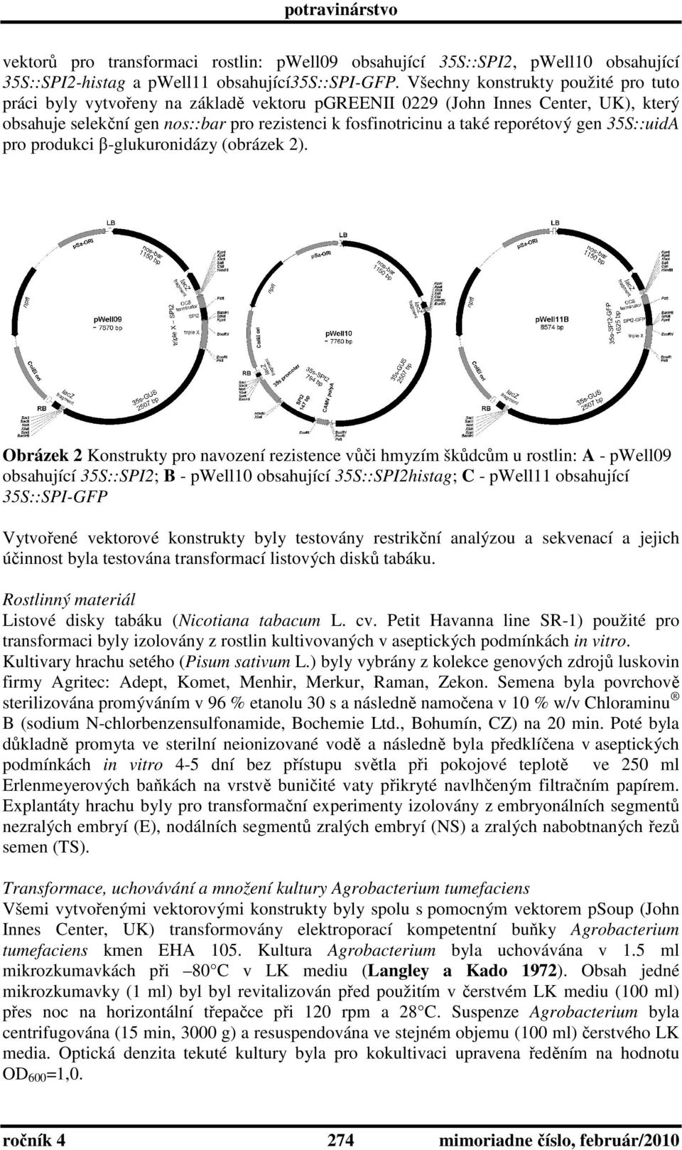 reporétový gen 35S::uidA pro produkci β-glukuronidázy (obrázek 2).