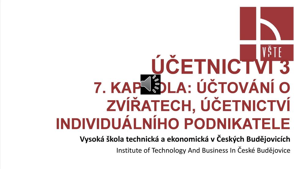 INDIVIDUÁLNÍHO PODNIKATELE Vysoká škola technická