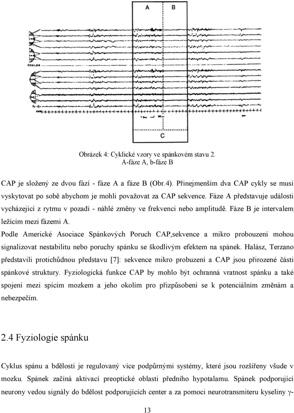 Fáze B je intervalem ležícím mezi fázemi A. Podle Americké Asociace Spánkových Poruch CAP,sekvence a mikro probouzení mohou signalizovat nestabilitu nebo poruchy spánku se škodlivým efektem na spánek.