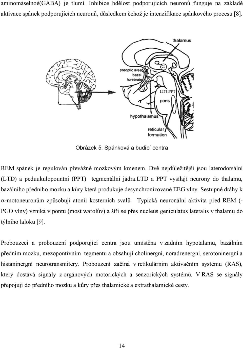 ltd a PPT vysílají neurony do thalamu, bazálního předního mozku a kůry která produkuje desynchronizované EEG vlny. Sestupné dráhy k α-motoneuronům způsobují atonii kosterních svalů.