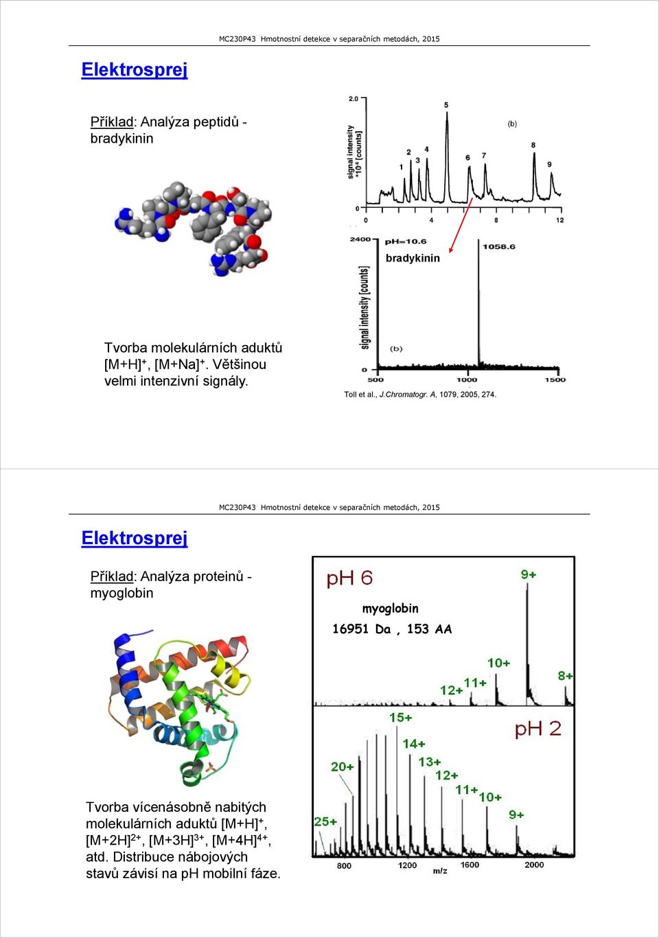 Elektrosprej Příklad: Analýza proteinů - myoglobin myoglobin 16951 Da, 153 AA Tvorba vícenásobně