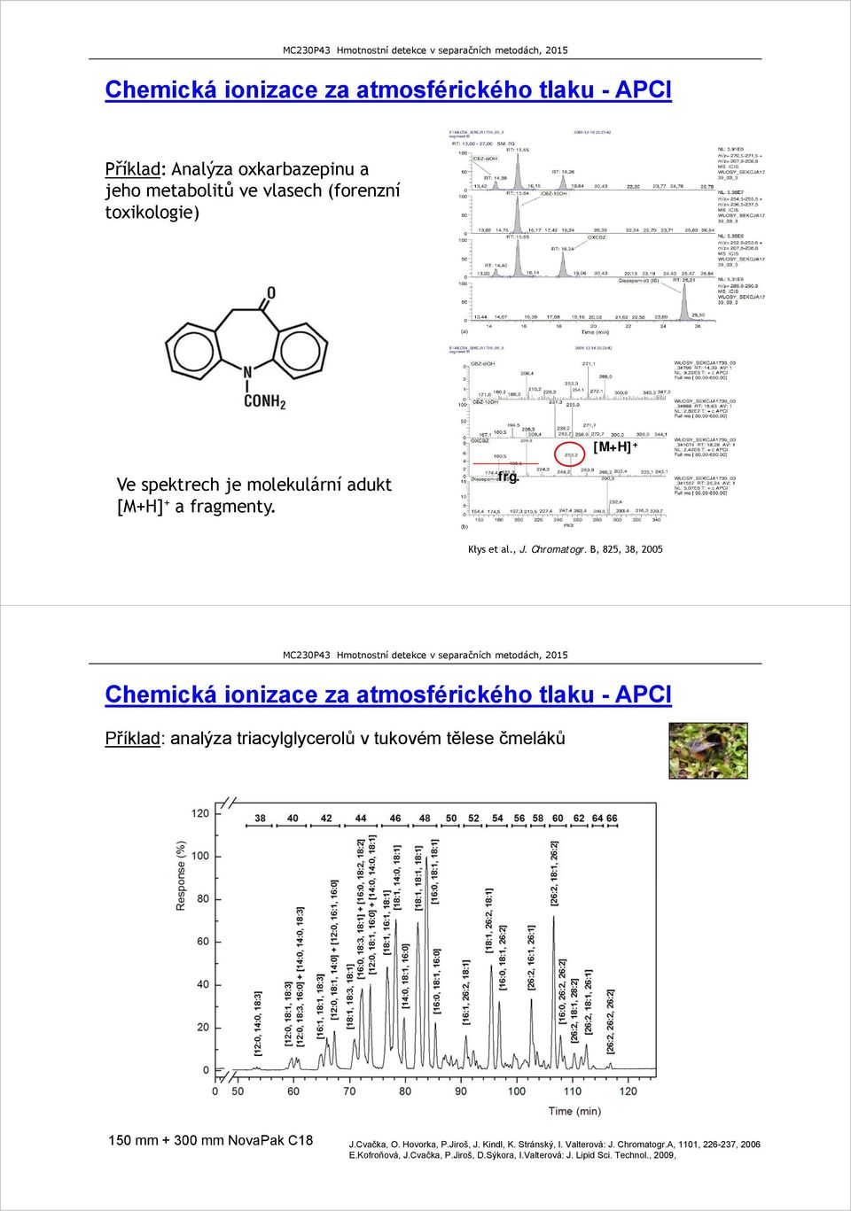 B, 825, 38, 2005 Chemická ionizace za atmosférického tlaku - APCI Příklad: analýza triacylglycerolů v tukovém tělese čmeláků 150 mm + 300 mm