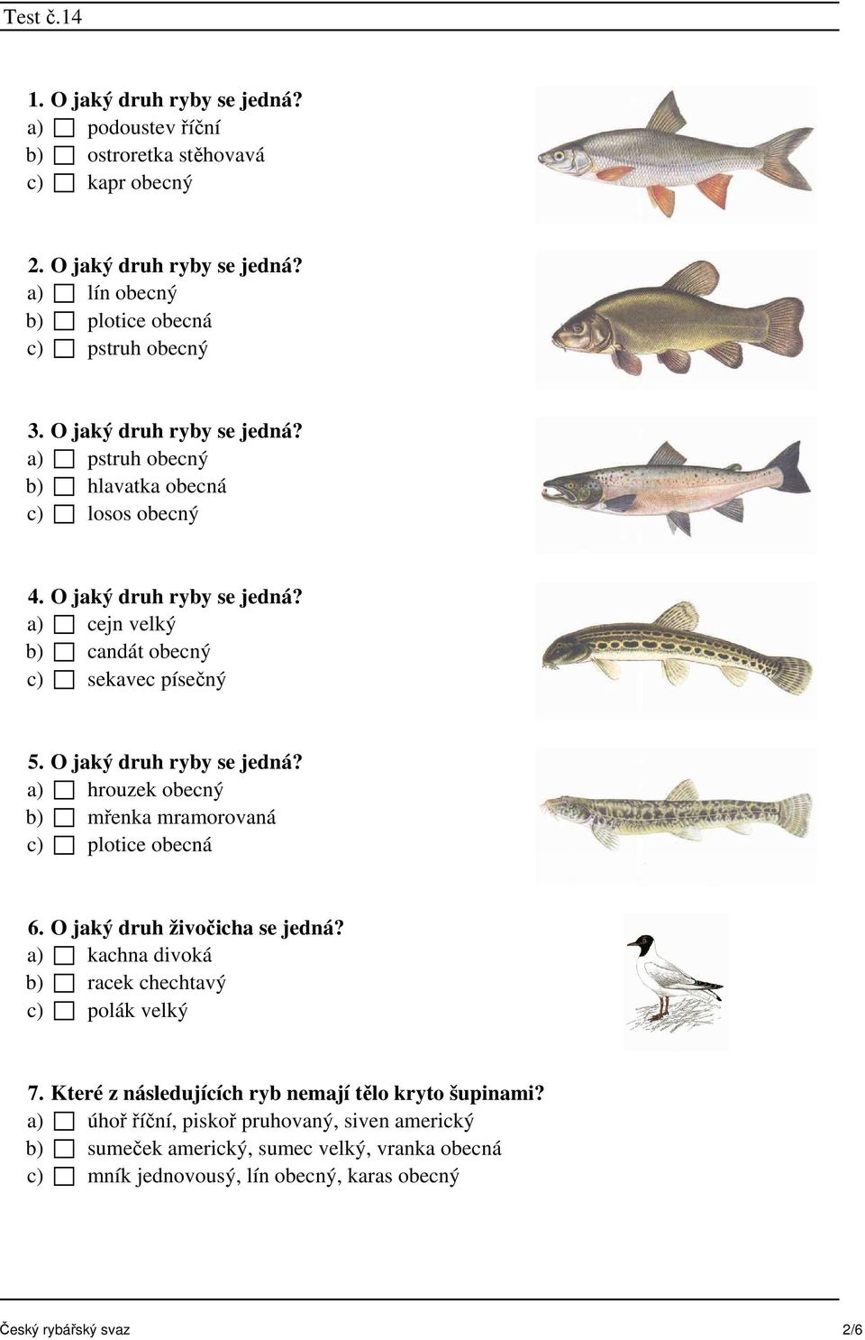 O jaký druh ryby se jedná? a) hrouzek obecný b) mřenka mramorovaná c) plotice obecná 6. O jaký druh živočicha se jedná? a) kachna divoká b) racek chechtavý c) polák velký 7.