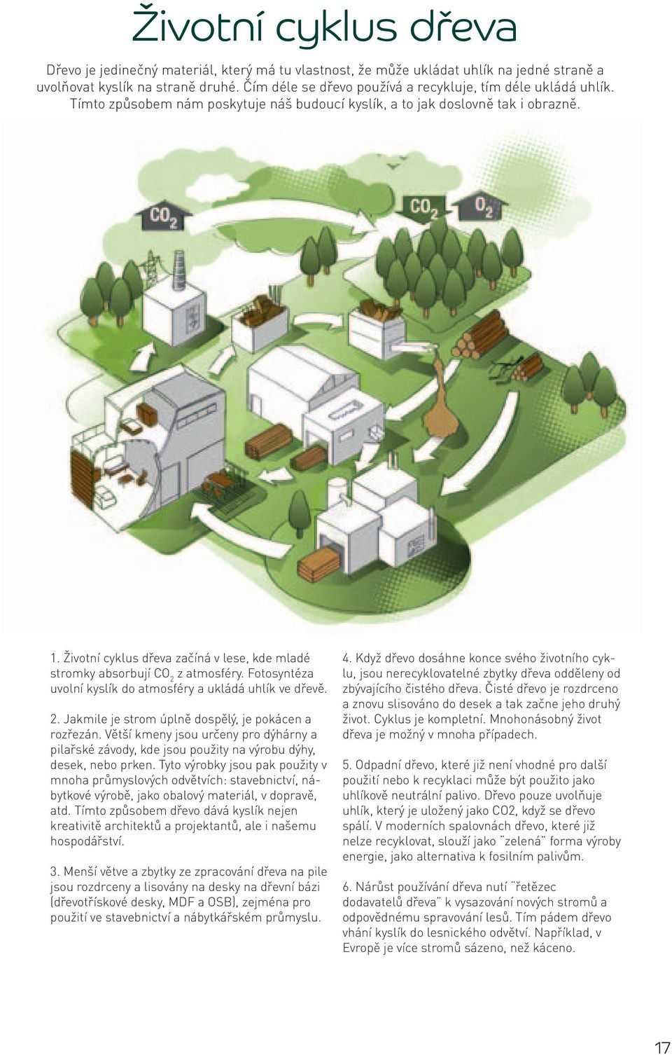 Životní cyklus dřeva začíná v lese, kde mladé stromky absorbují CO 2 z atmosféry. Fotosyntéza uvolní kyslík do atmosféry a ukládá uhlík ve dřevě. 2. Jakmile je strom úplně dospělý, je pokácen a rozřezán.