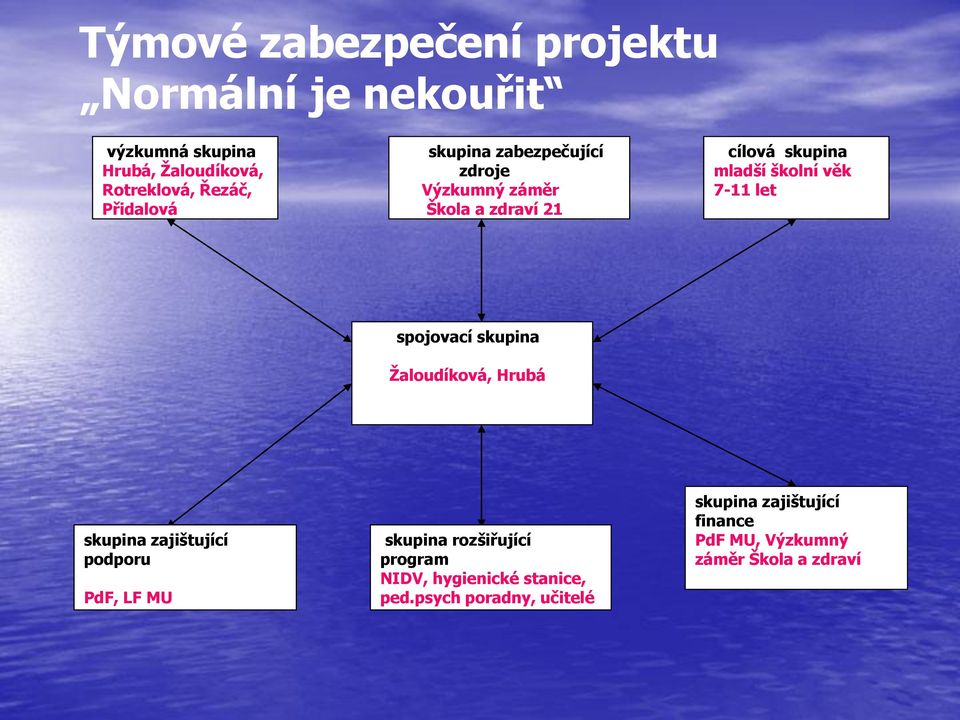 let spojovací skupina Ţaloudíková, Hrubá skupina zajištující podporu PdF, LF MU skupina rozšiřující program