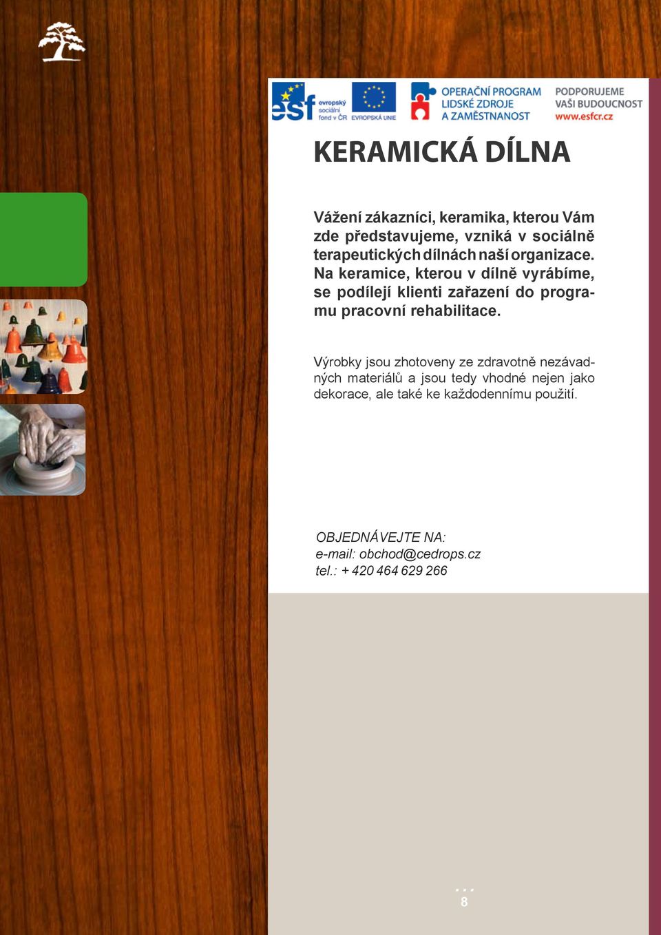 Na keramice, kterou v dílně vyrábíme, se podílejí klienti zařazení do programu pracovní rehabilitace.