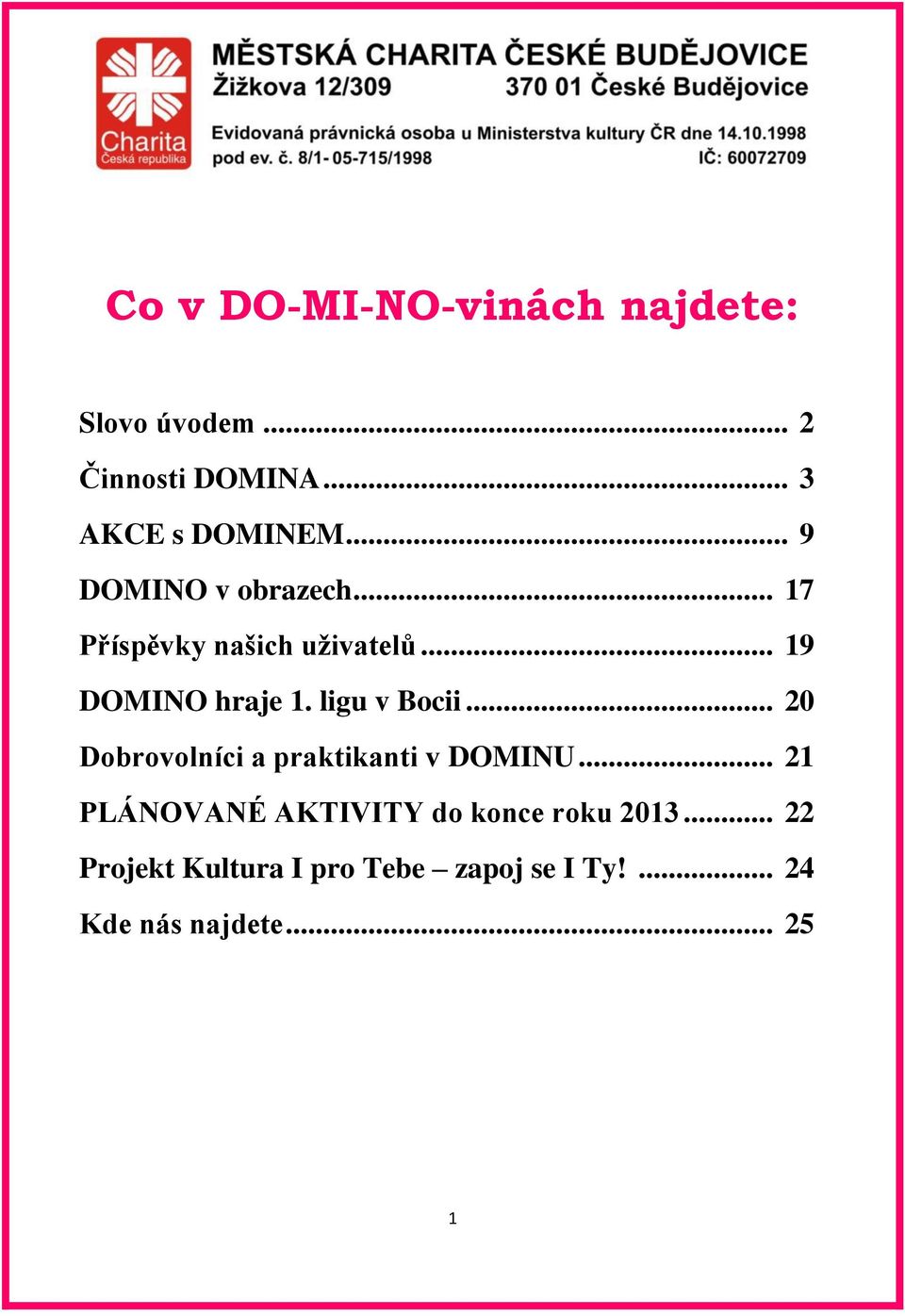 ligu v Bocii... 20 Dobrovolníci a praktikanti v DOMINU.