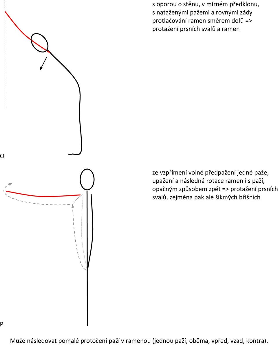 následná rotace ramen i s paží, opačným způsobem zpět => protažení prsních svalů, zejména pak ale