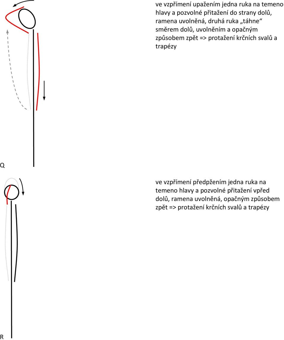 protažení krčních svalů a trapézy Q ve vzpřímení předpžením jedna ruka na temeno hlavy a